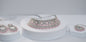 Silver & Rose Choker Set